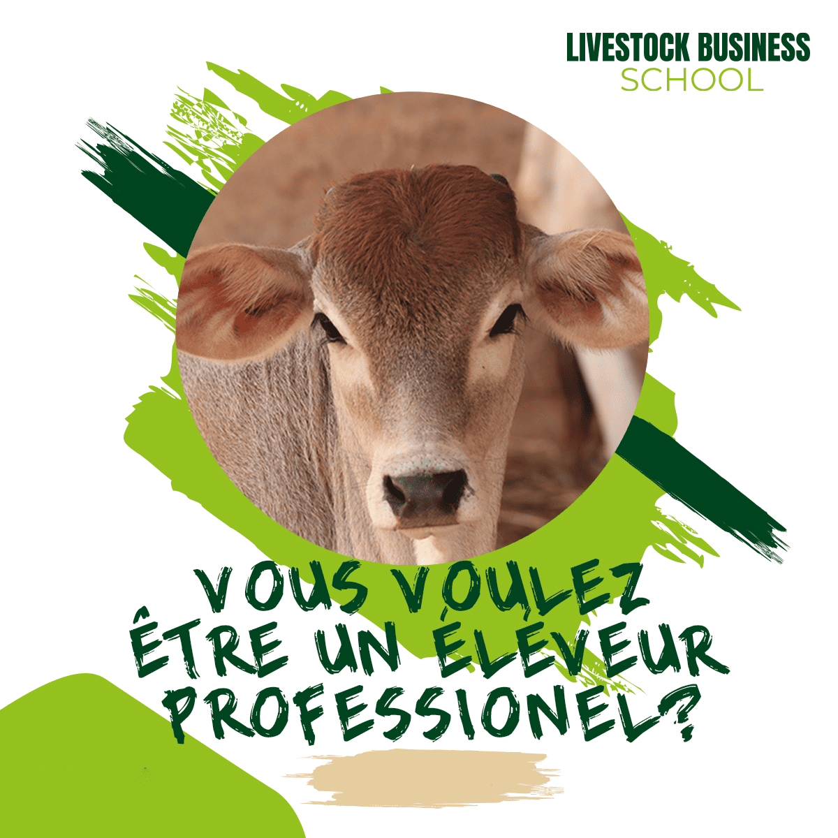 Étudiant en formation élevage pratique – Livestock Business School, Saint-Louis, Sénégal